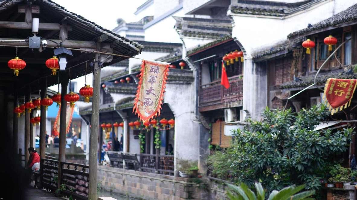 小猫钓鱼正版下载中文版
